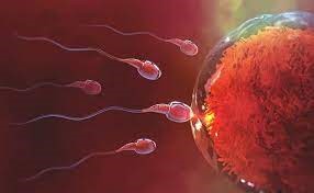 Infertility Specialist In Ahmedabad
